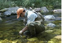 Small Stream Fishing Part 1: How to Find a Stream of Your Own