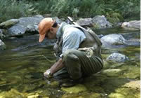 Small Stream Fly Fishing