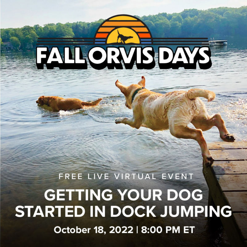 Getting Your Dog Started in Dock Jumping: October 18, 2022 at 8pm ET