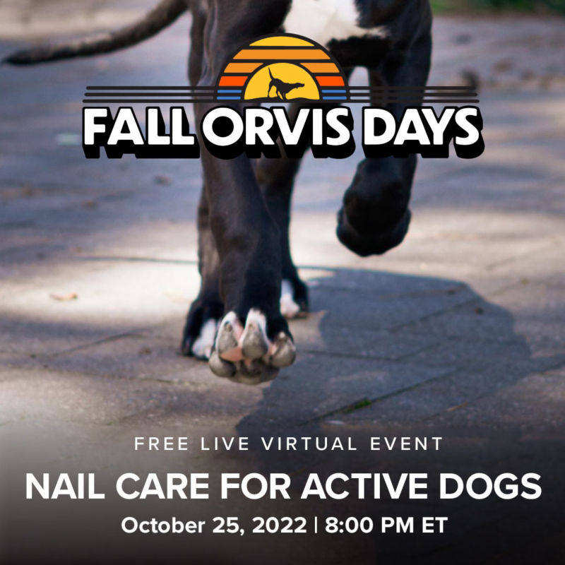 Nail Care for Active Dogs: October 25, 2022 at 8pm ET