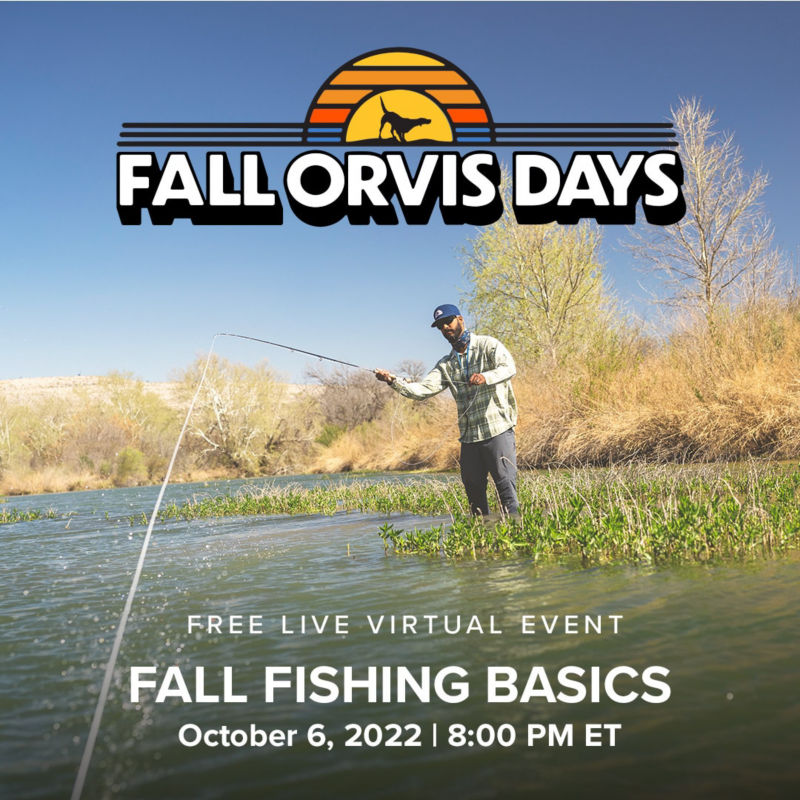 Fall Fishing Basics: October 6, 2022 at 8pm ET