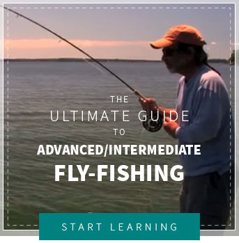 the orvis-endorsed fly fishing guide manual