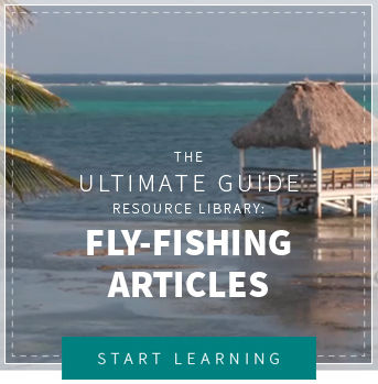 Ultimate Guide to Fly-Casting