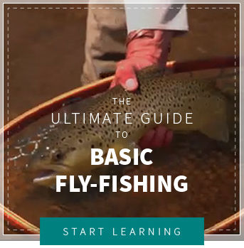 New Fly Fishing Basics DVD  How to fly fish video – Bennett-Watt  Entertainment, Inc. / Anglers Book Supply