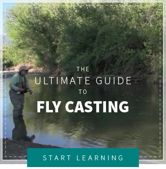 Ultimate Guide to Fly-Casting