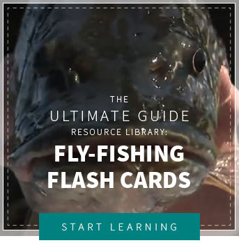 Ultimate Guide to Fly-Casting