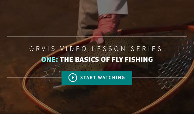 How to Fly Fish: 7 Tips on Fly Fishing for Beginners - Florida Sportsman