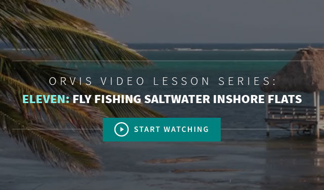 Saltwater Fly Fishing Videos 