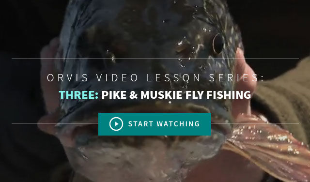 Pike & Muskie Fly Fishing Chapter 3 - Video Lessons From Orvis On The Basics of Fly Fishing