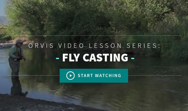 How To Fly Cast  Fly Fishing Video Lessons