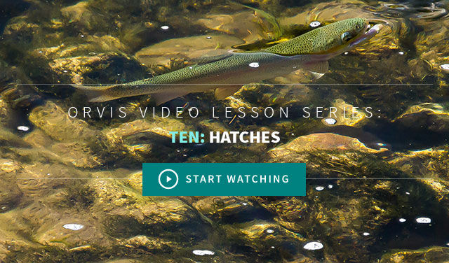 Advanced Fly Fishing Video Lessons From Orvis - Fishing Hatches Chapter 10