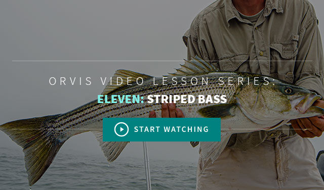 Advanced Fly Fishing Video Lessons From Orvis - Striped Bass Chapter 11