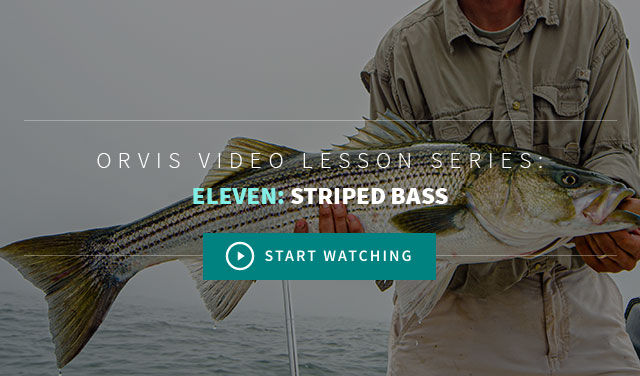 Fly Fishing for Surf Stripers - On The Water