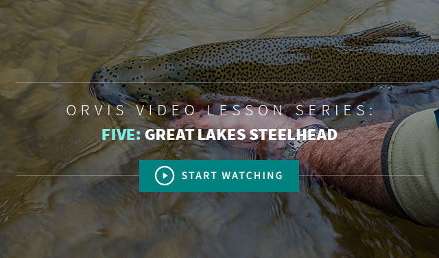 Great Lakes Steelhead Chapter 5 - Advanced Fly Fishing How To Videos From Orvis