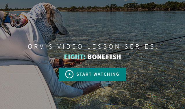 Advanced Fly Fishing Video Lessons From Orvis - Bonefish Chapter 8