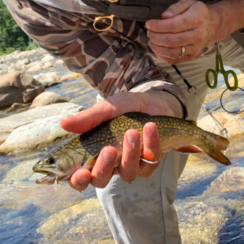 Man holding a brook trout
