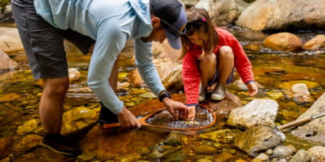 A father and daughter looking at a fish they caught in a clear brook.