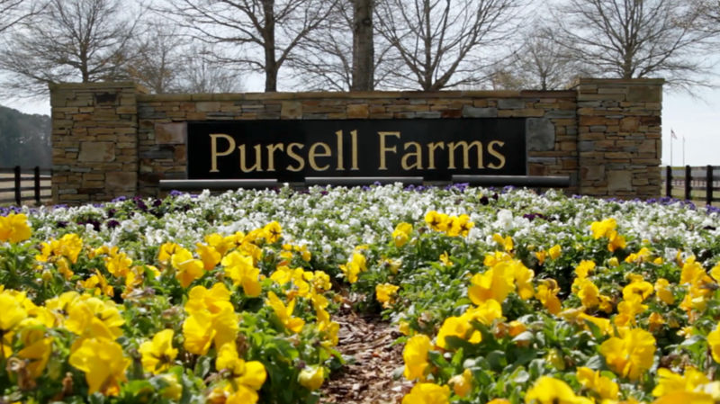 Pursell Farms sign nestled in a garden of flowers