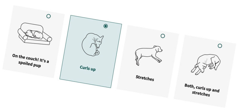 Image of the dog bed selector tool.