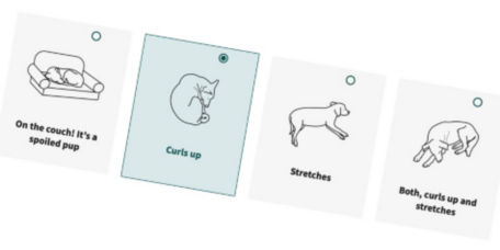 Graphics from the dog bed selector tool