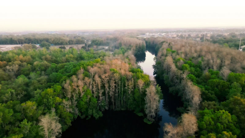 A bird's eye view of Shingle Creek running through trees toward buildings