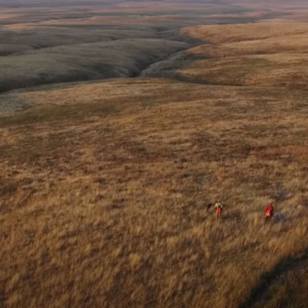 aerial view of two hunters in a vast grassland