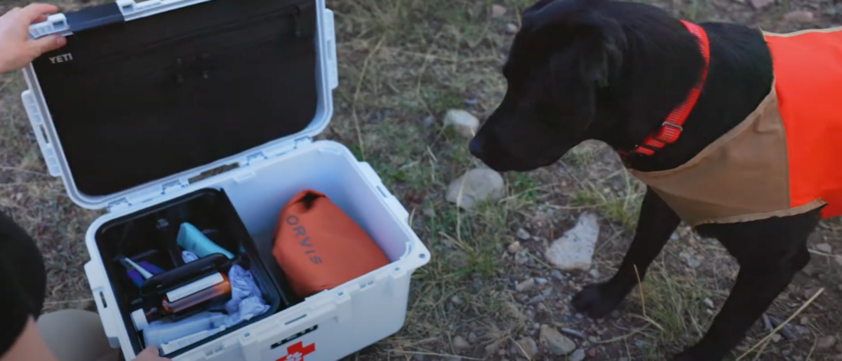 A dog first aid kit sitting on the ground next to a black lab