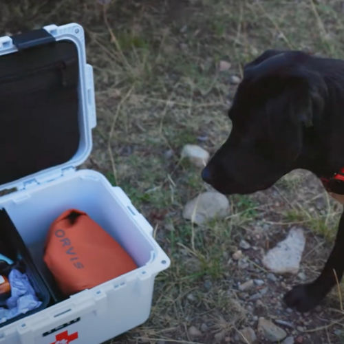 A dog first aid kit sitting on the ground next to a black Labrador in a blaze orange coat